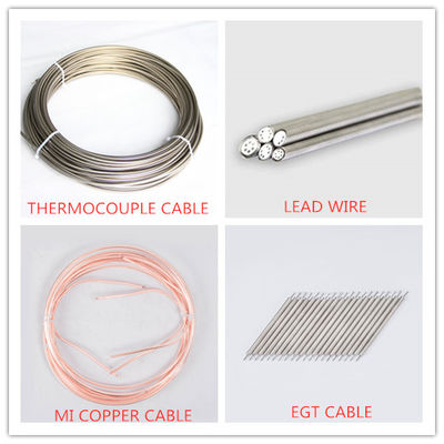 Độ chính xác cao thép không gỉ cảm biến cặp nhiệt Cáp chiều dài tùy chỉnh
